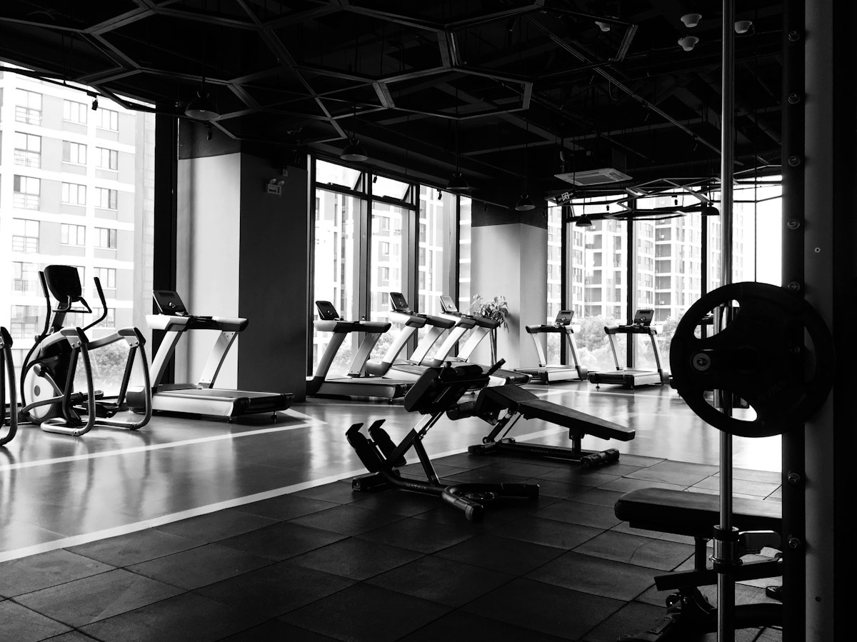 Interior do ginásio Wakanda Training